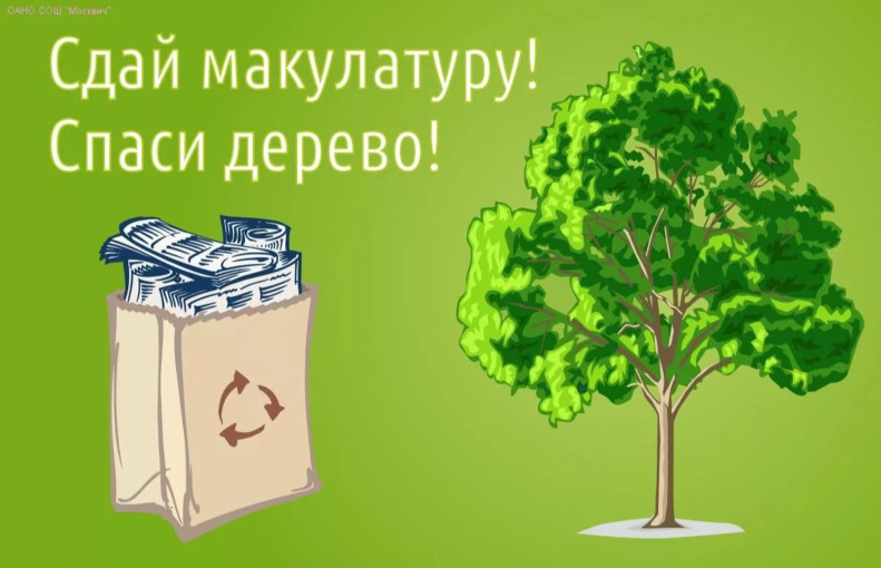 Бумаге вторую жизнь! Бумаге вторую жизнь!.